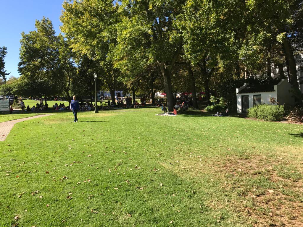 Wide open Lawns at Blaauwklippen Wine Estate makes for a great picnic area.