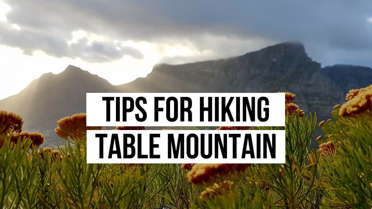 Tips for hiking Table Mountain
