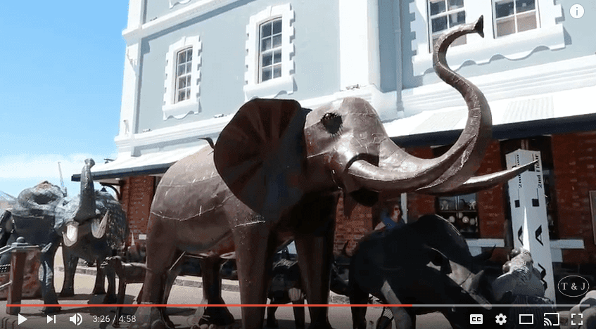 5 Must Do's at the V&A Waterfront
