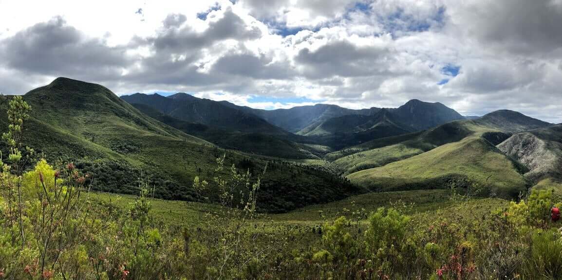 Hiking Through The Tsitsikamma