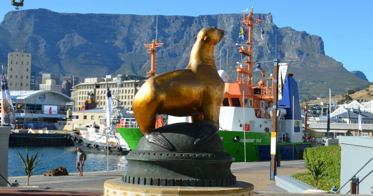 The Best Of V&A Waterfront