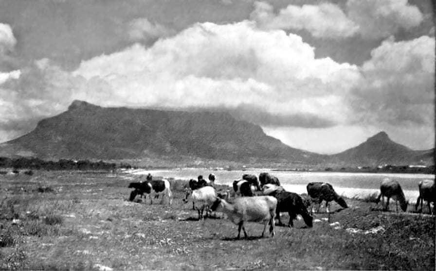 Down Memory Lane - Old Cape Town Pics!