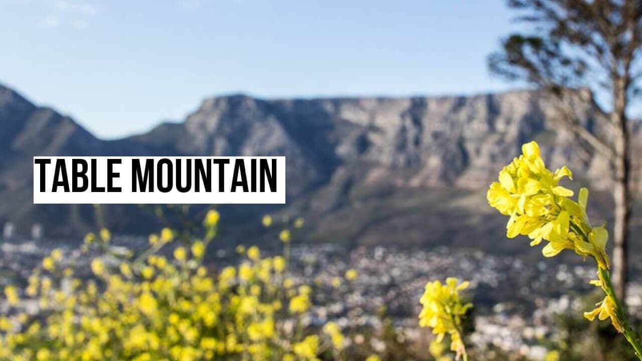 Table Mountain To-Do List