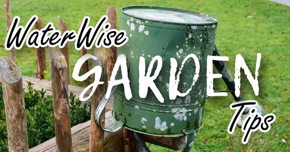 8 Top Tips For A Water Wise Garden