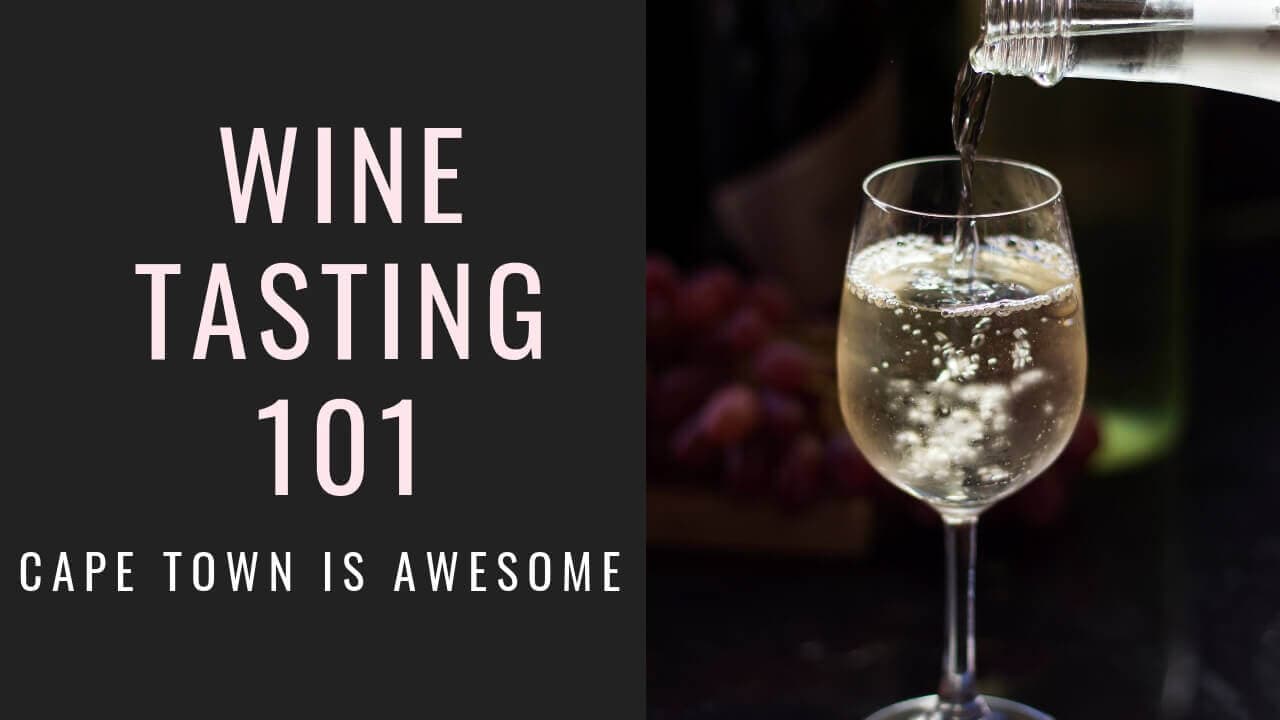 Wine Tasting 101: A first-timer's tips for Wine Tasting!