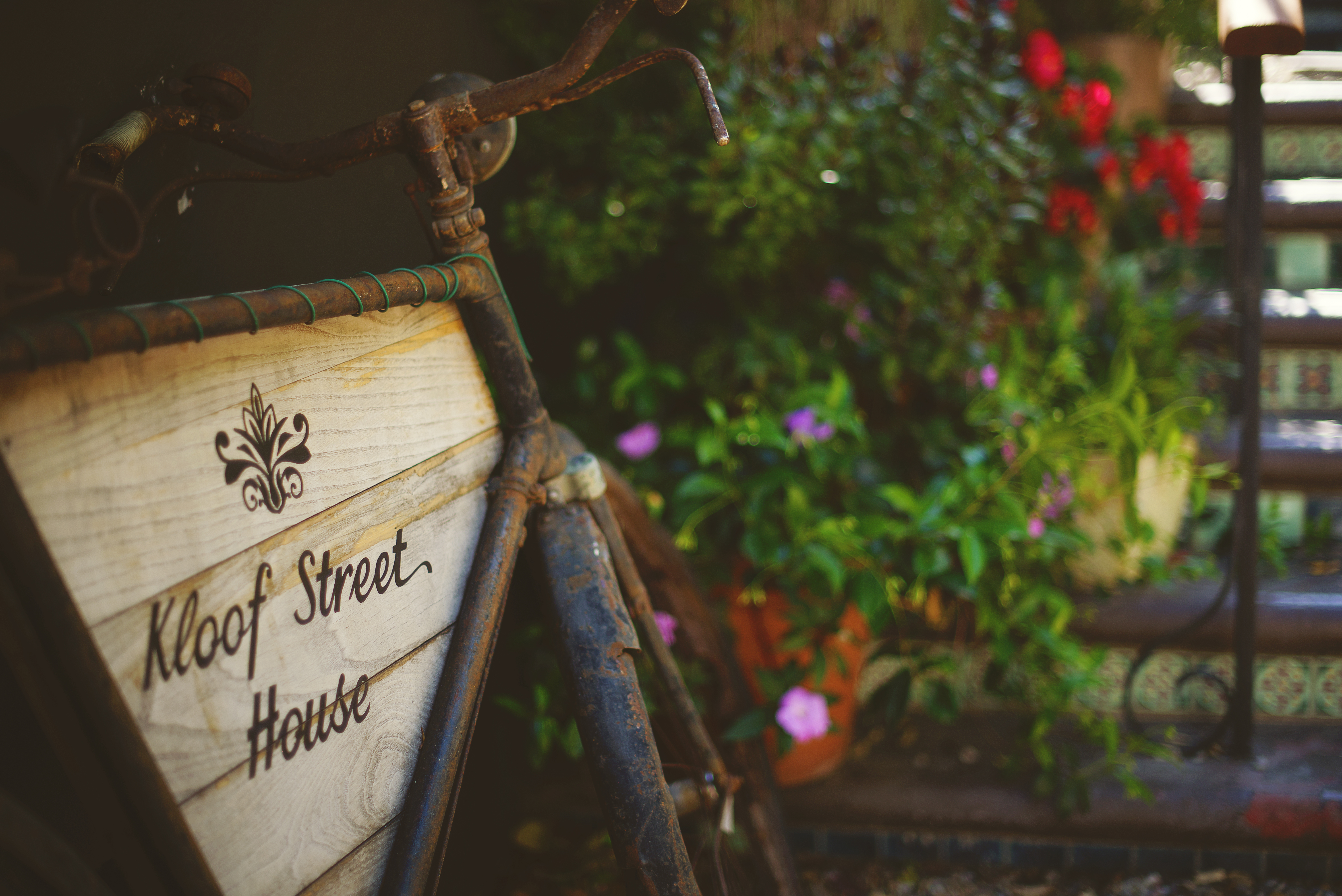 Kloof Street House - Delighting the Senses!