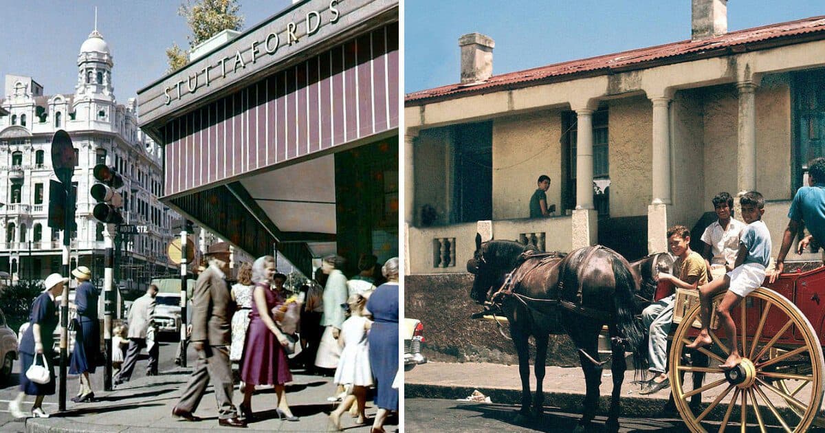 20+ Awesome Street Scenes Of Cape Town In The Old Days