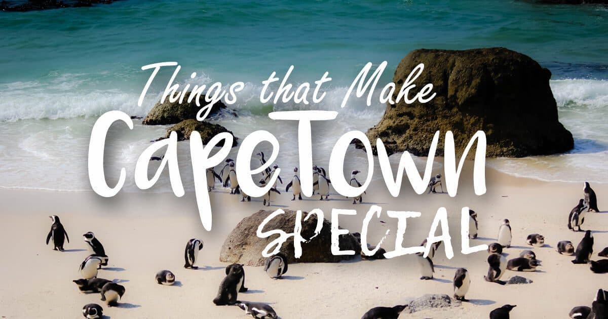 Things That Make Cape Town Special