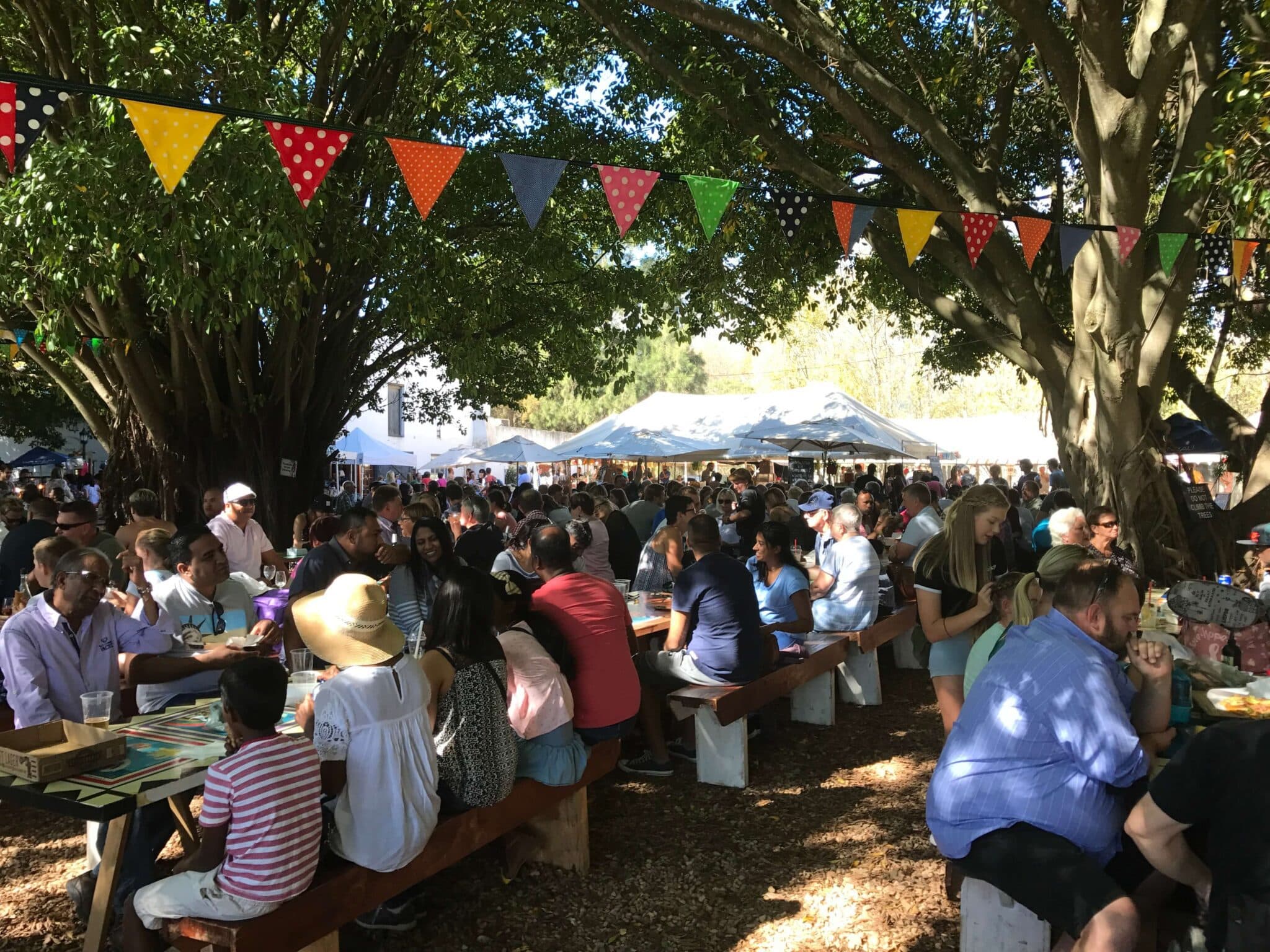Looking for Something Awesome to do on a Sunday?