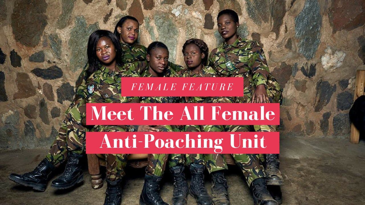 Meet The All Female Anti-Poaching Unit