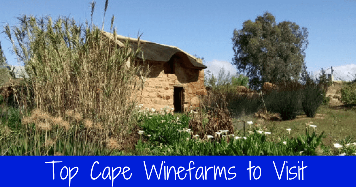 Top Cape Winefarms to visit in 2018