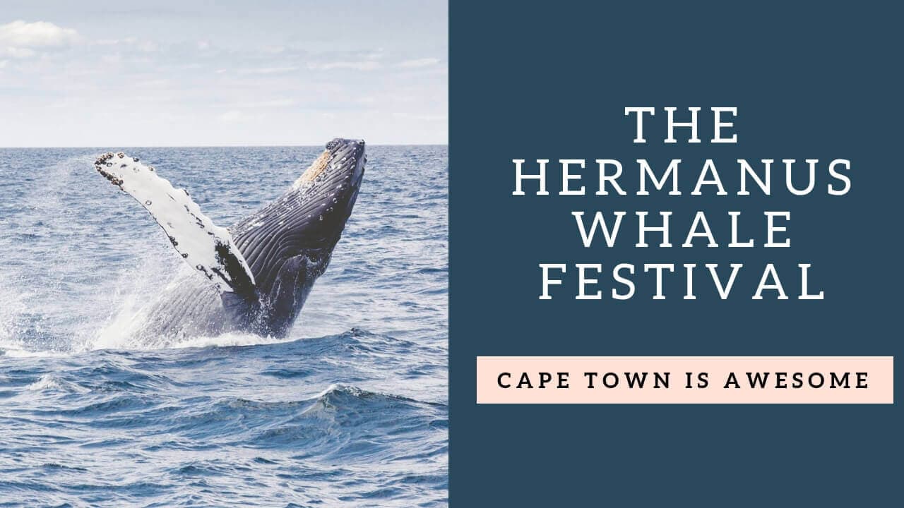 Hermanus Whale Festival