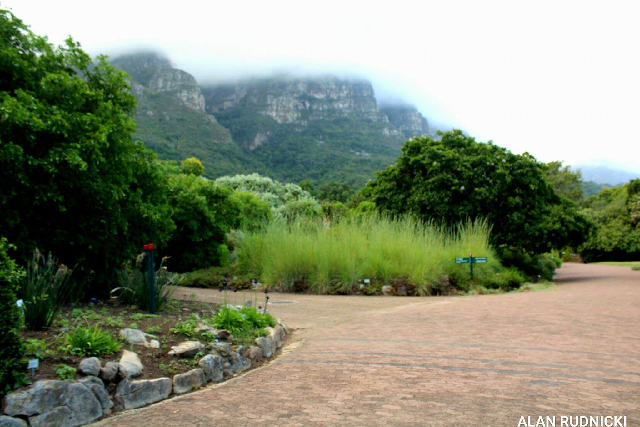 Kirstenbosch Botanical Gardens