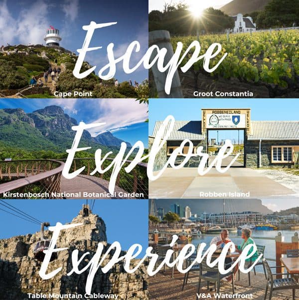 Escape, Explore, Experience: Set Your Adventurous Spirit Free With Cape Town Big 6